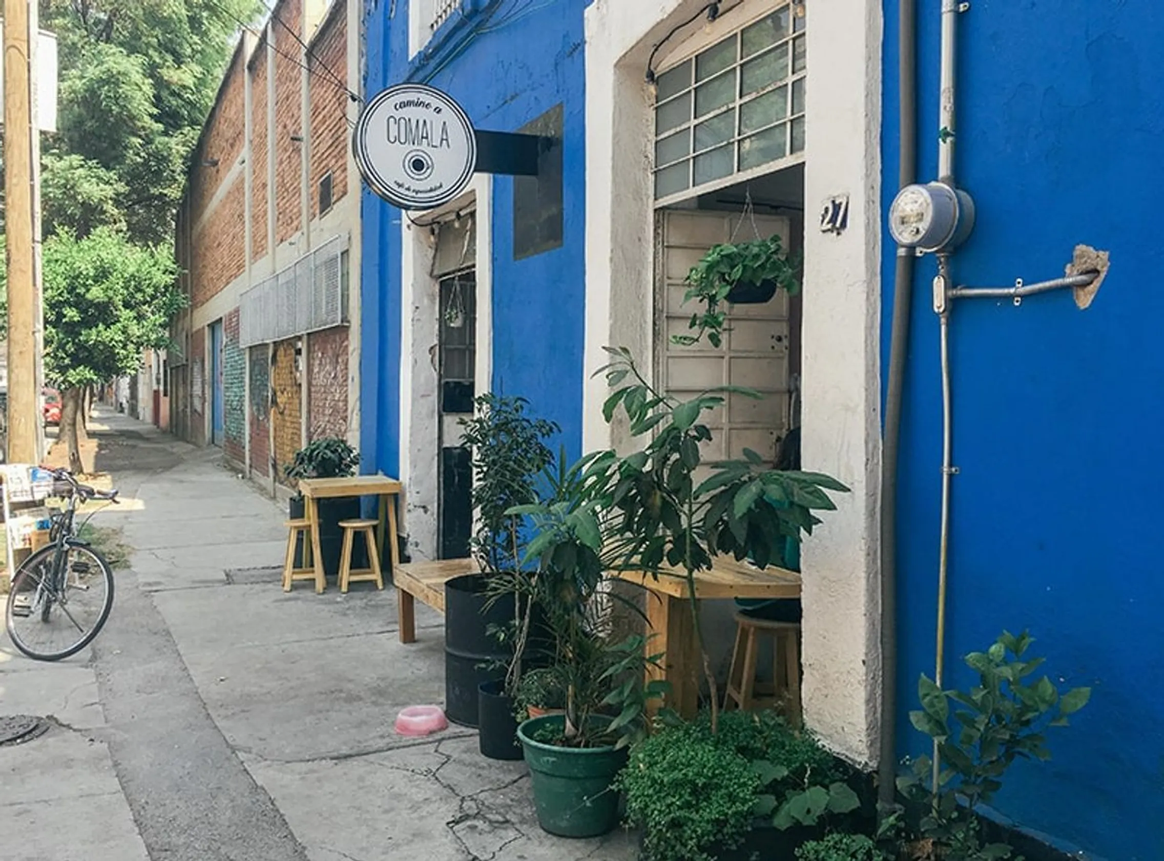 Camino a Comala: Café de especialidad
