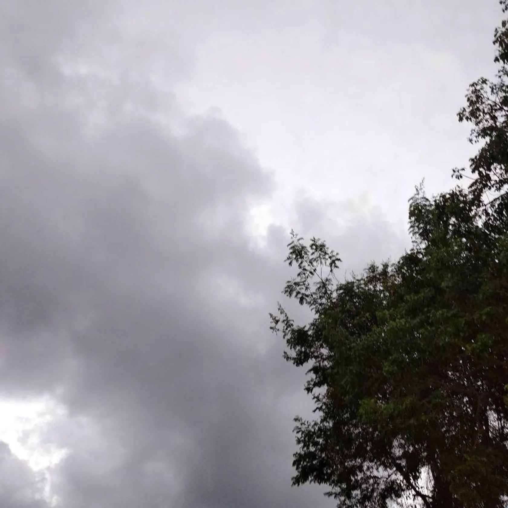 La Florida