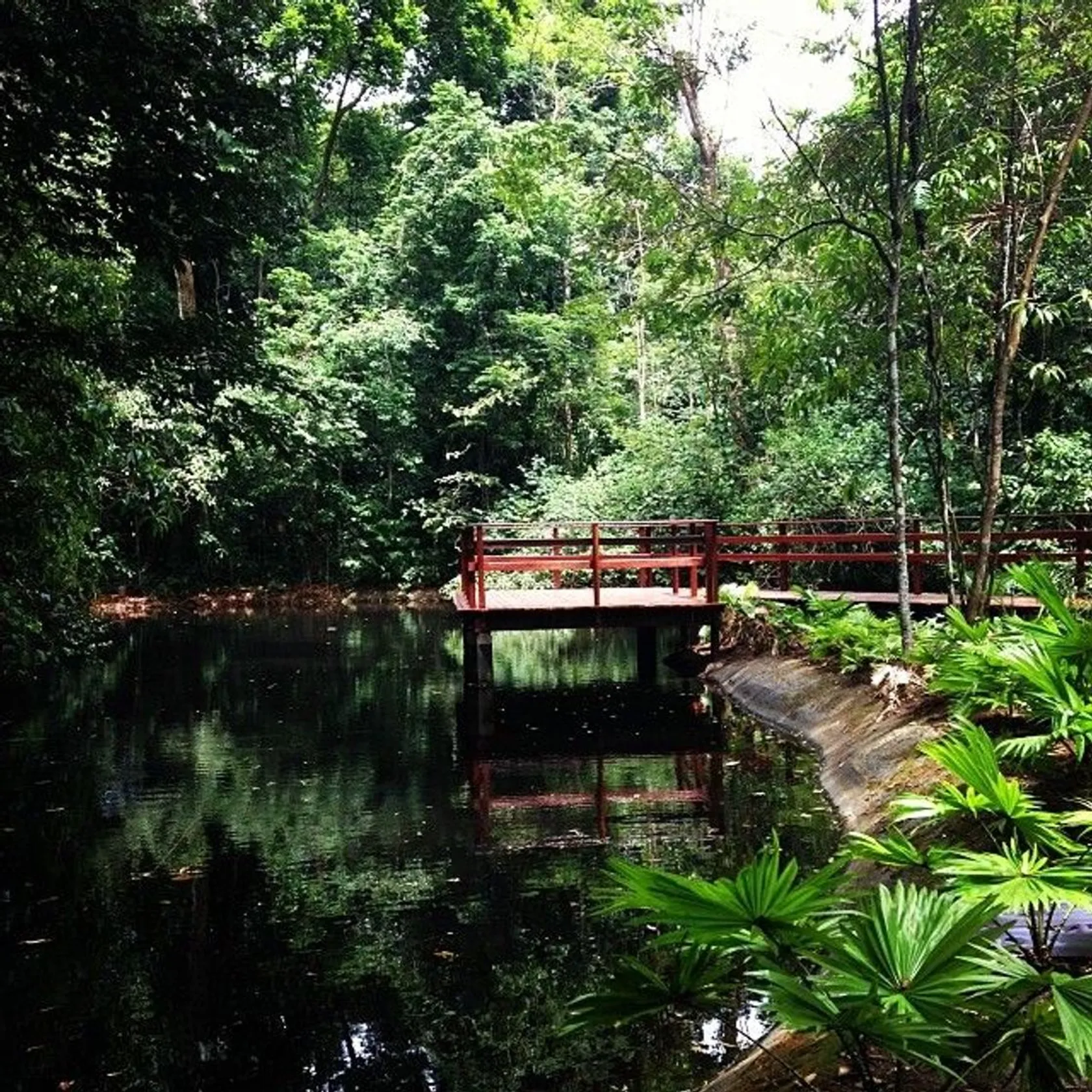 Jardim Botânico do Recife