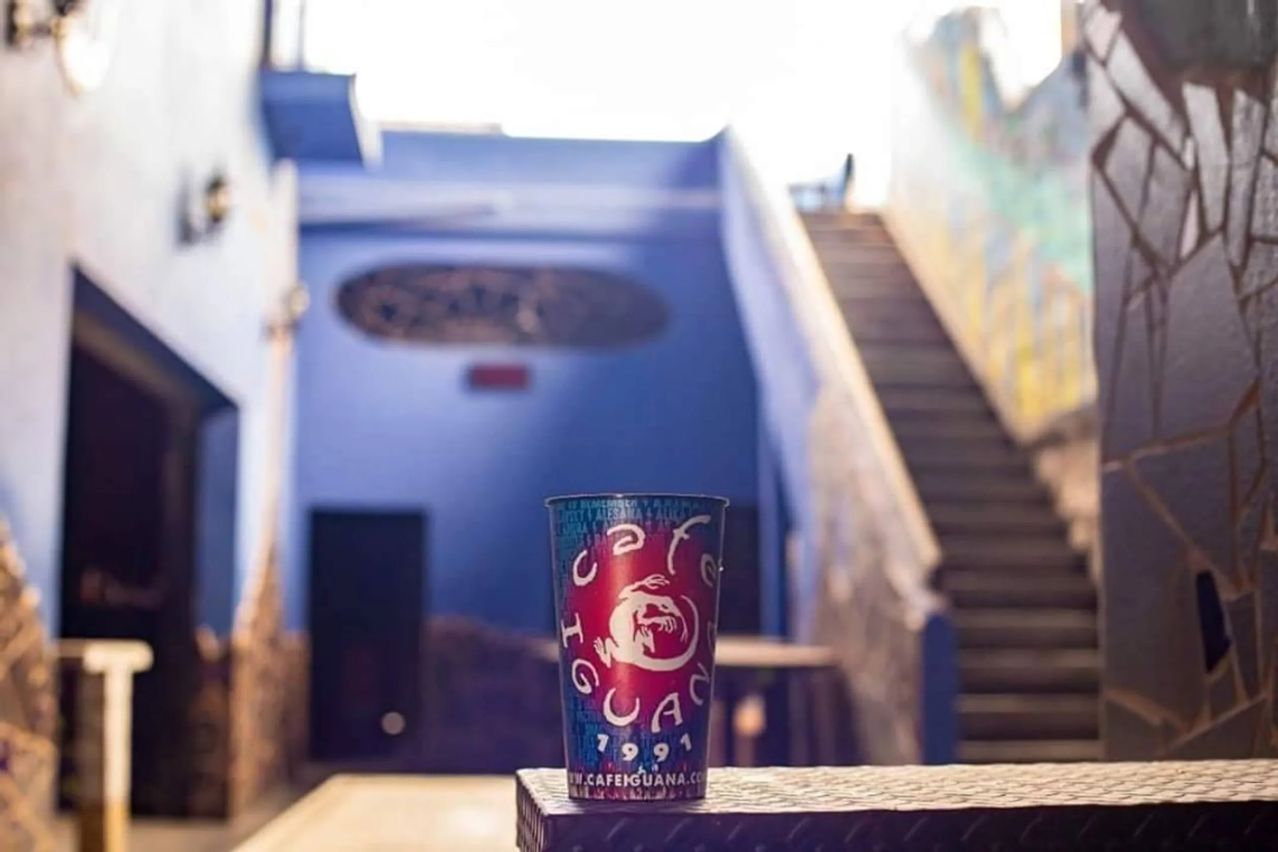 Cafe Iguana