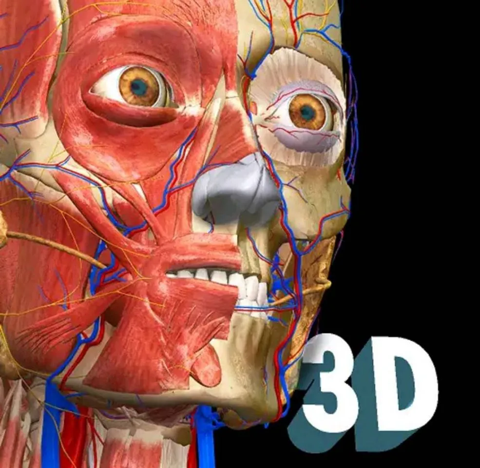 Anatomy Learning