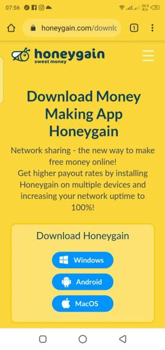 Honeygain 🐝