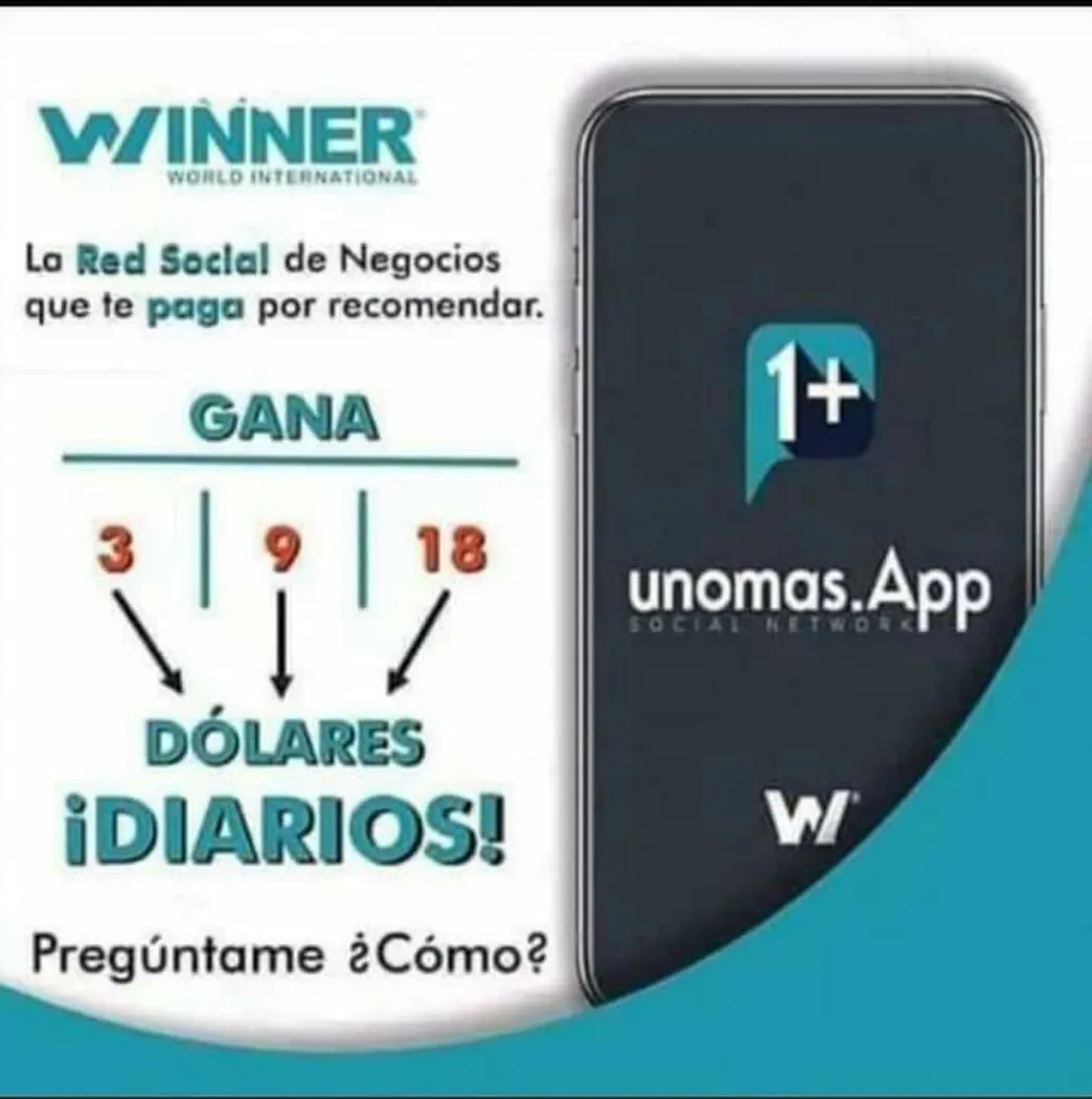 Winner 1+
