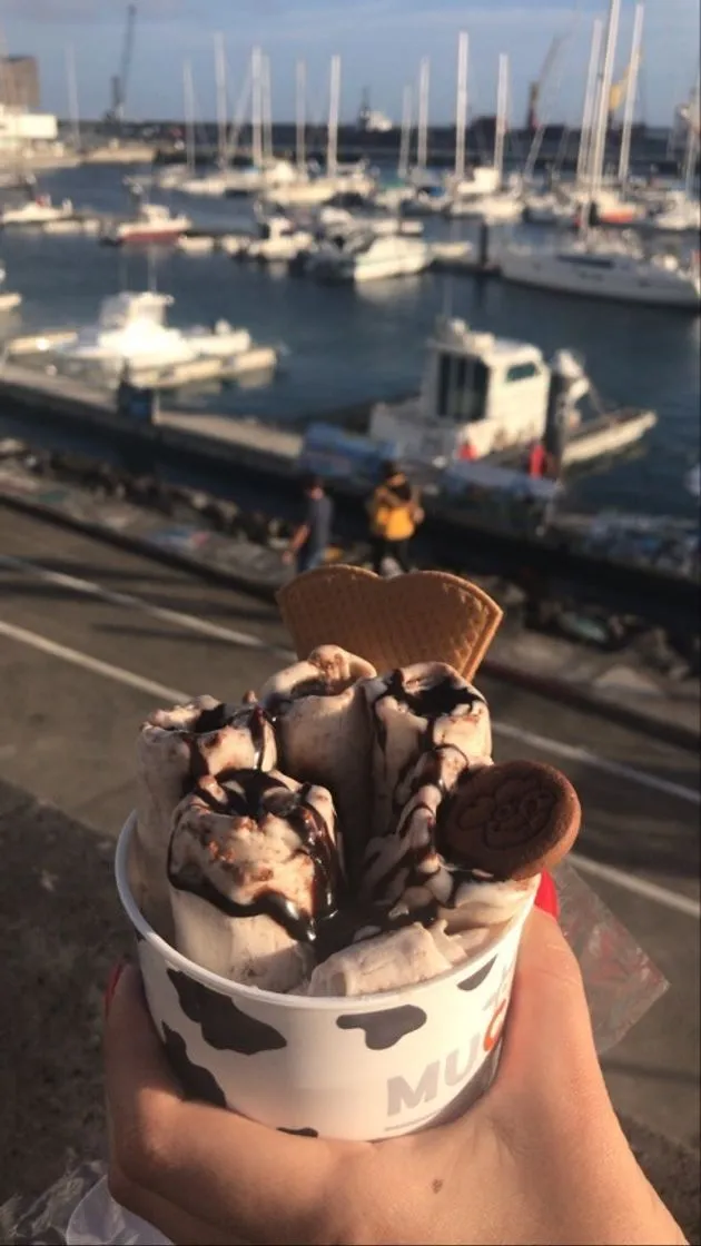 Mucca Gelados