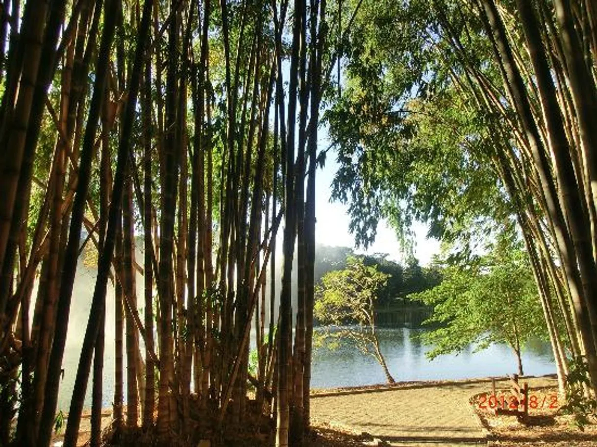 Parque Areião