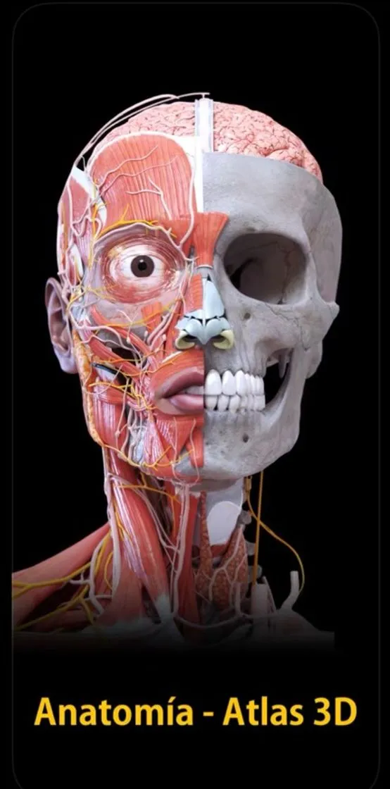 Anatomía- Atlas 3D