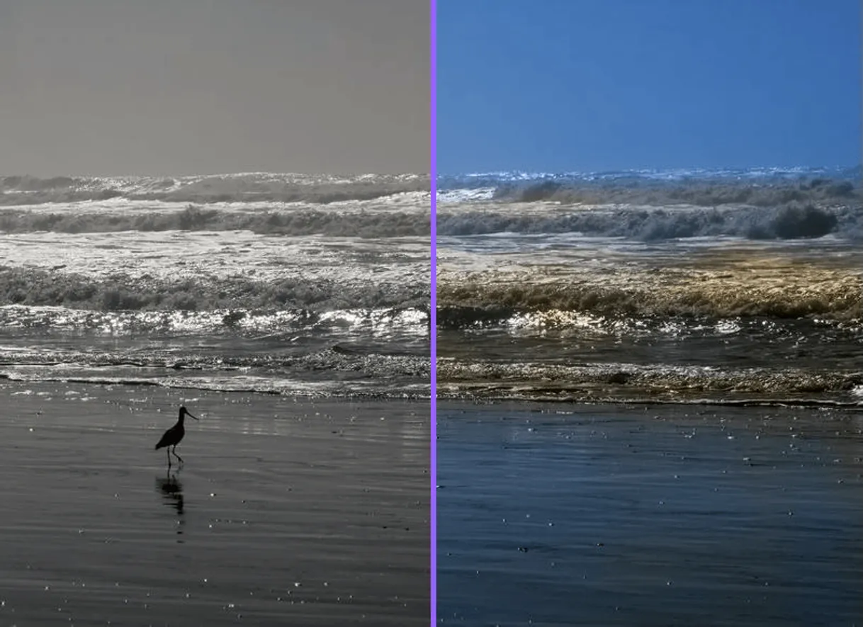 Colorize Black and White Photos – Algorithmia