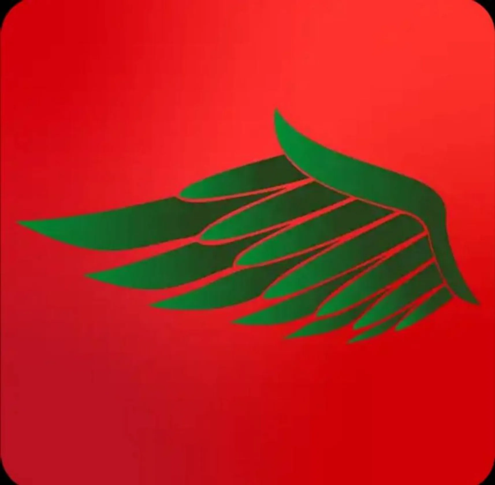 Avilace - Apps en Google Play