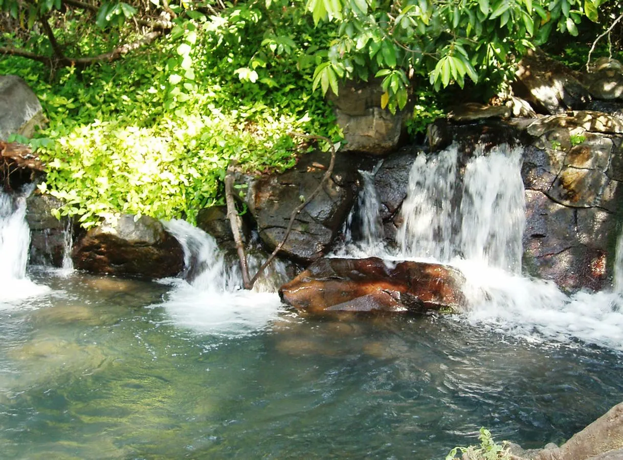 Kauar Tikuri