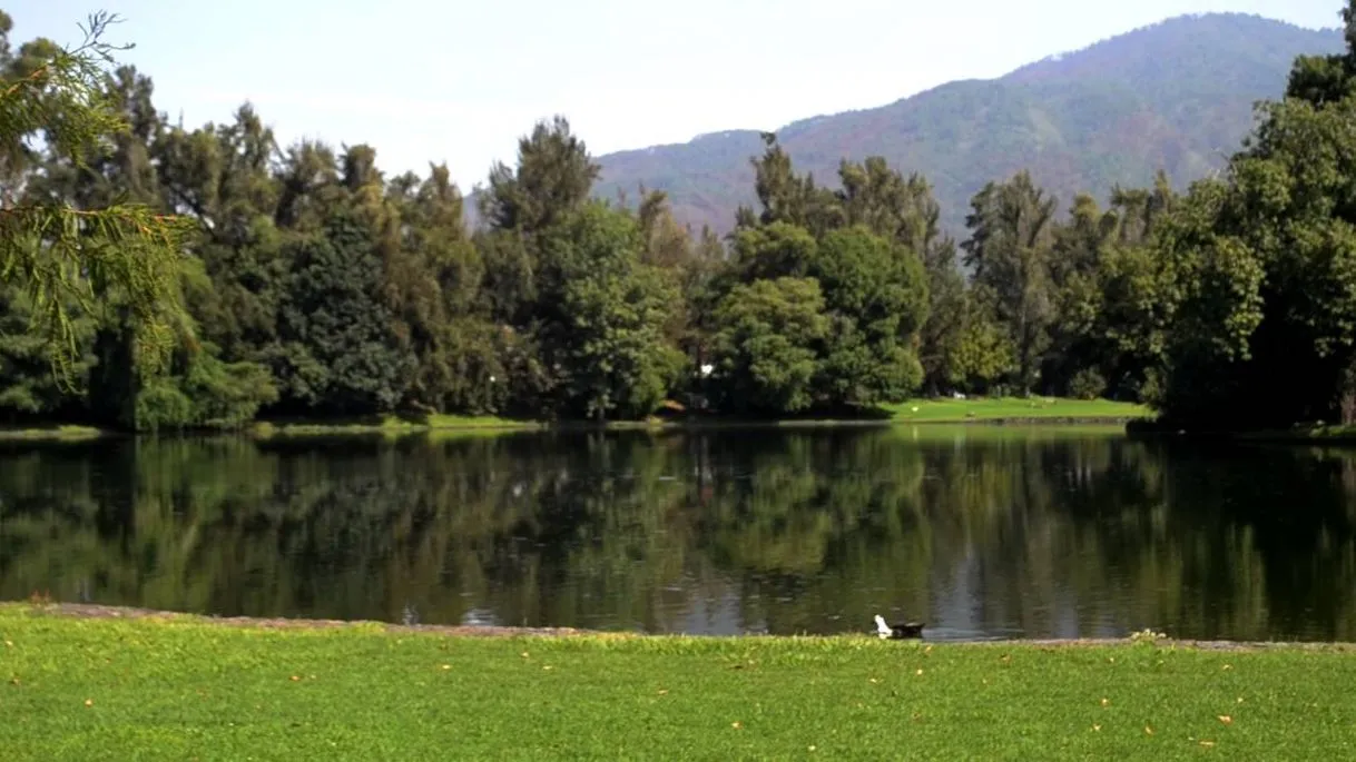 Presa Caltzontzin