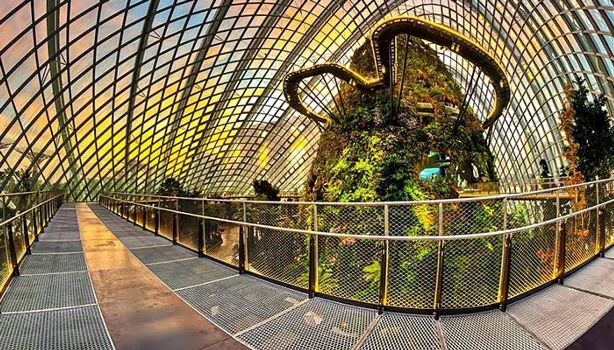 Cloud Forest Dome