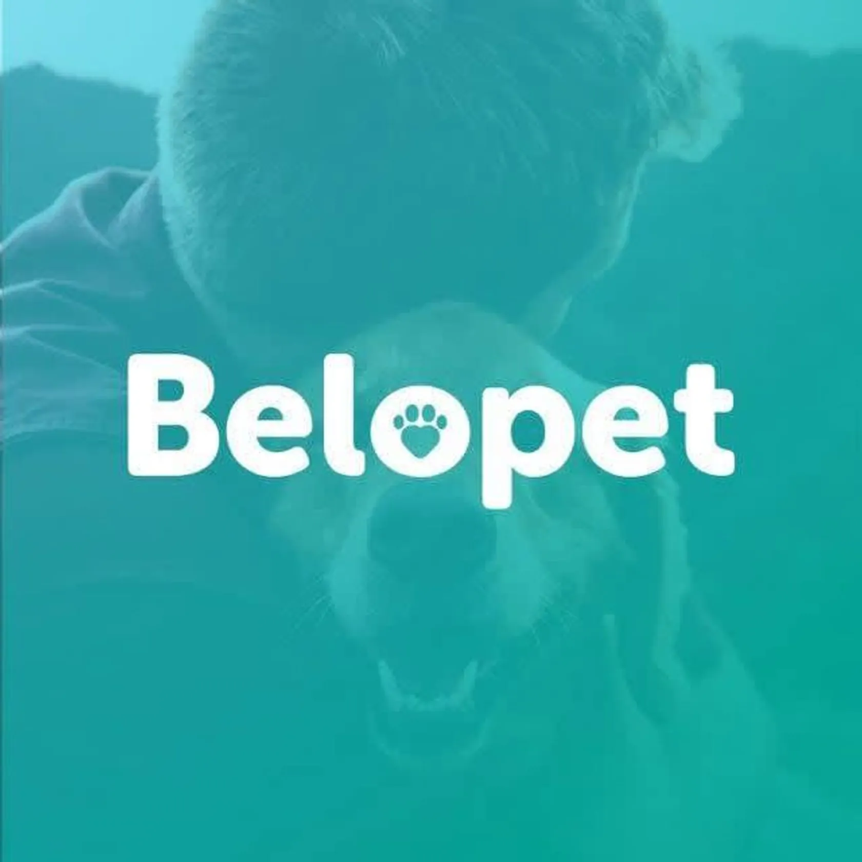 Belopet
