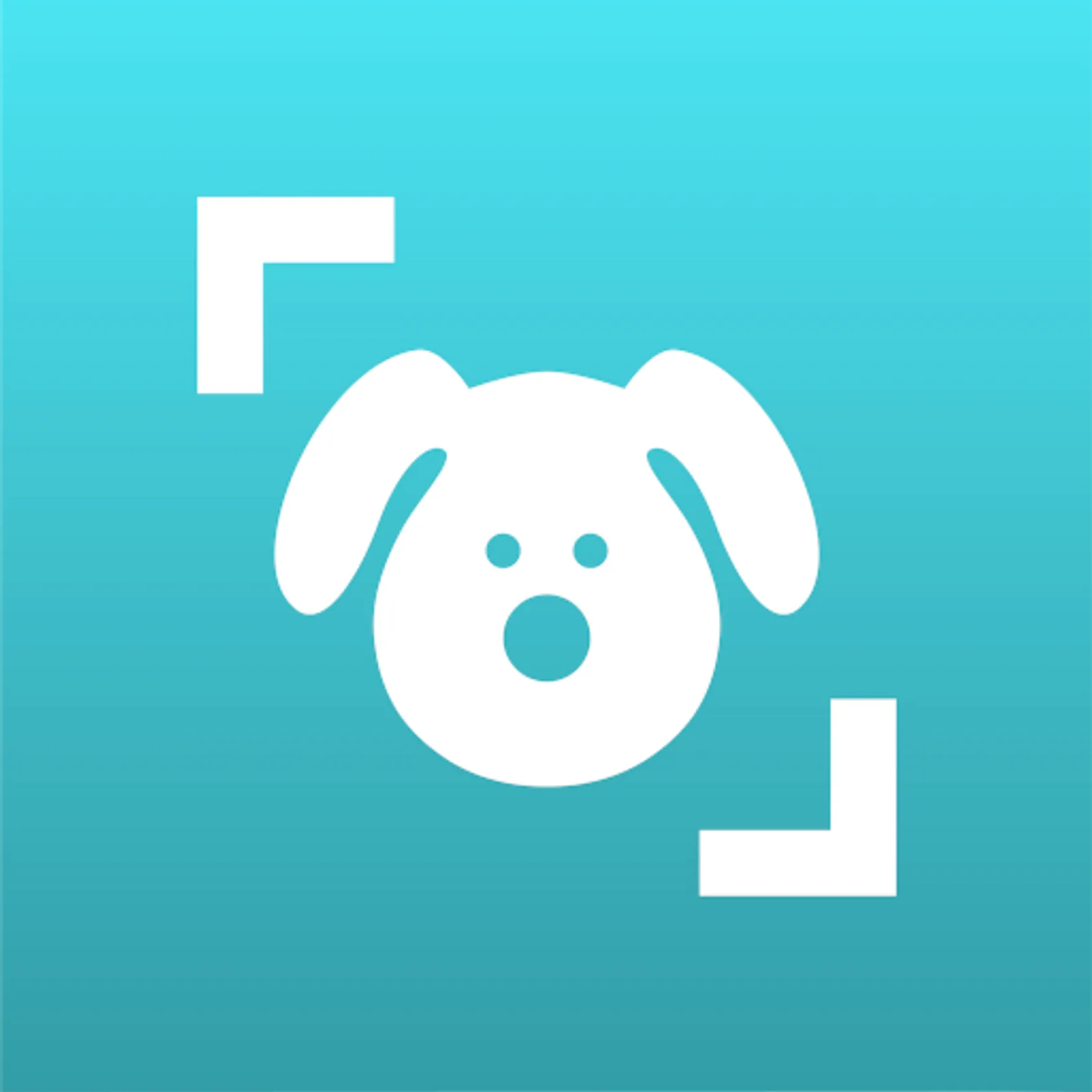 Dog Scanner - Identificar la raza del perro