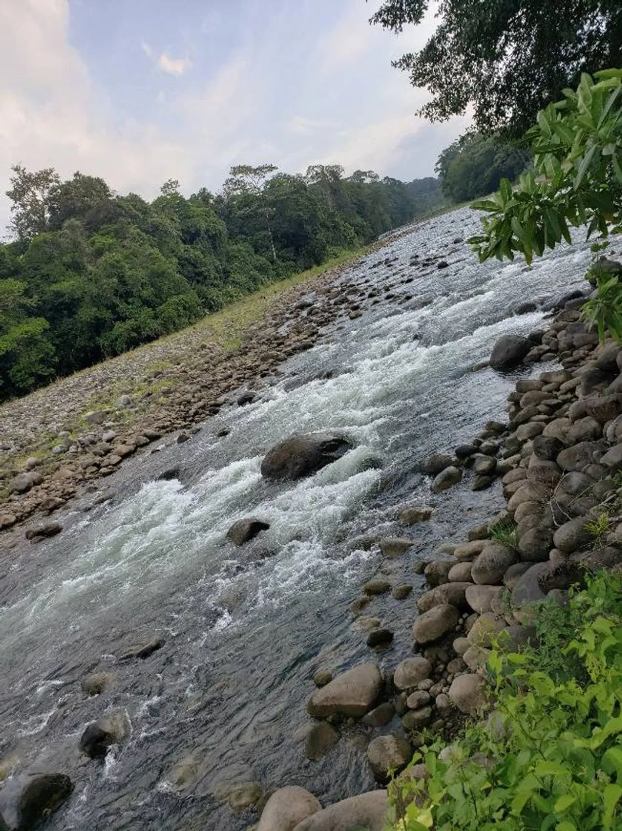 Río Sarapiquí