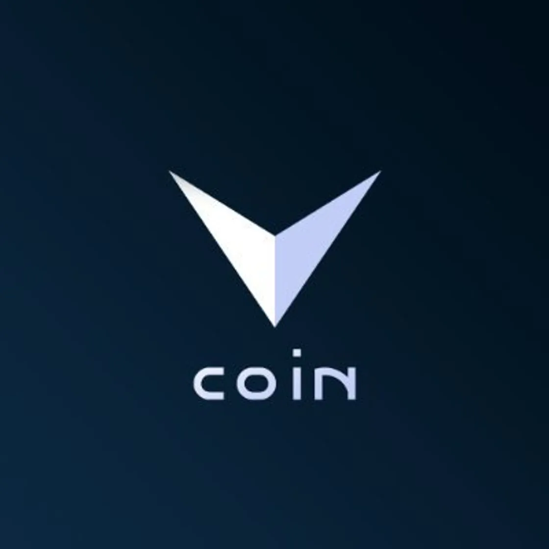 VizerCoin