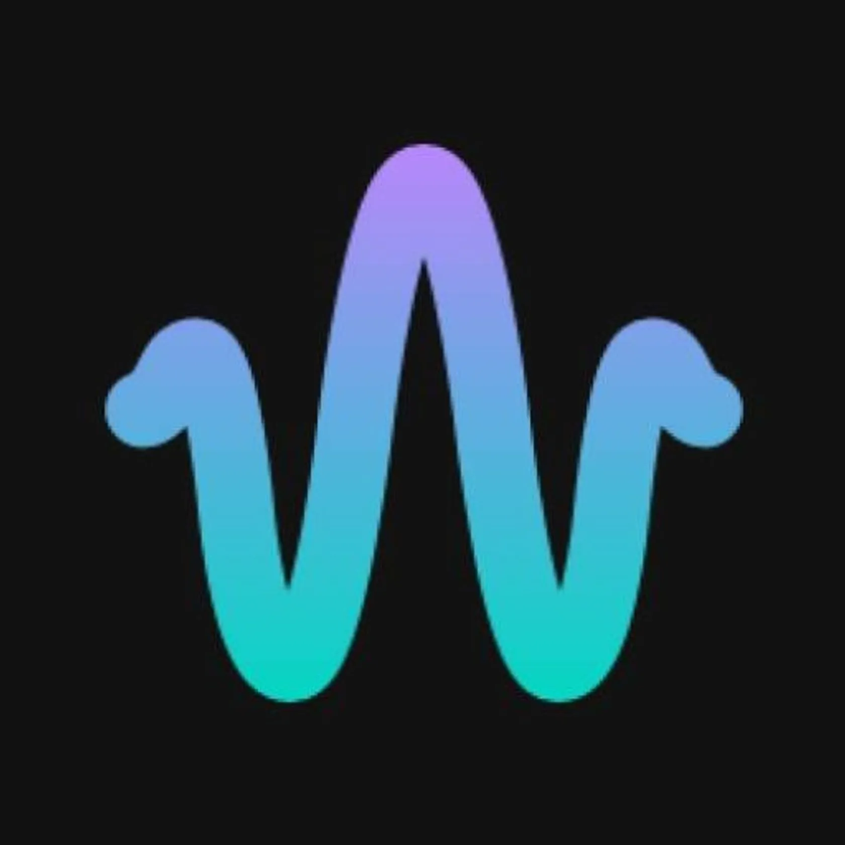 Wavelet