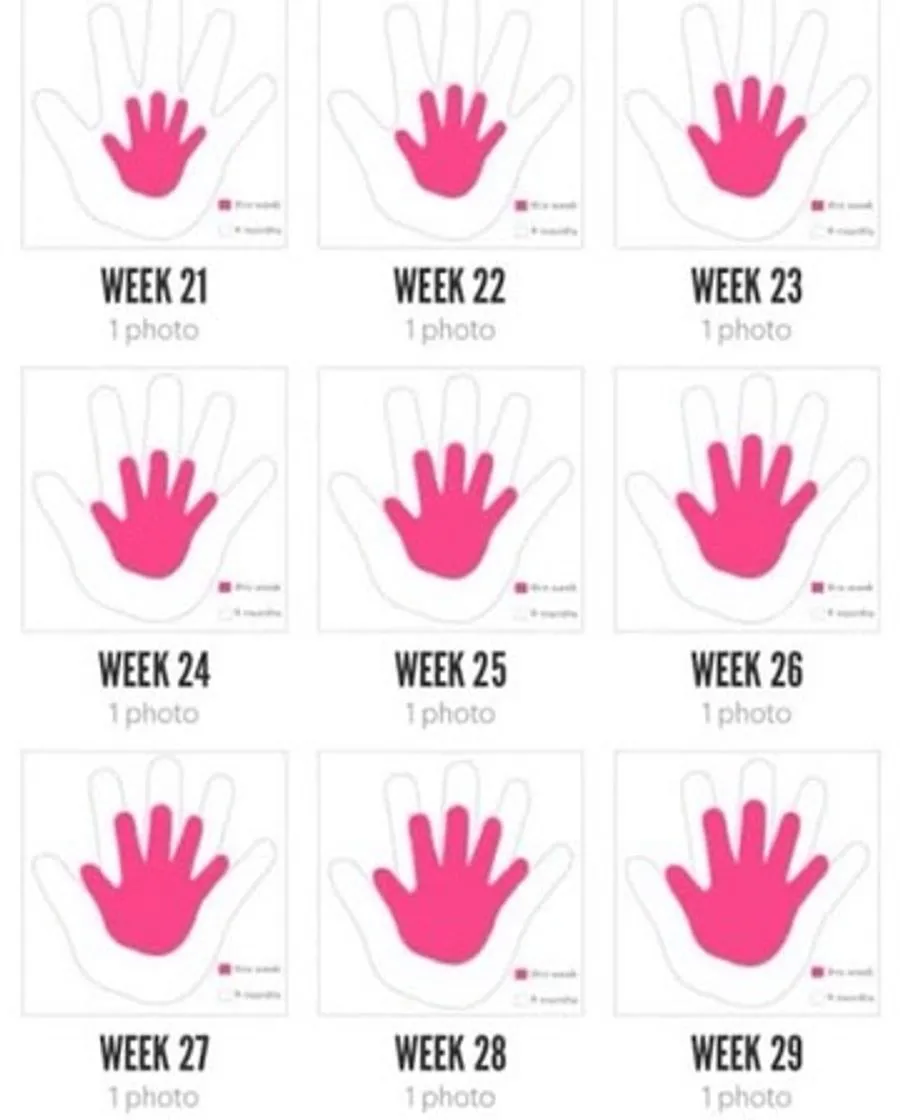 App para embarazo