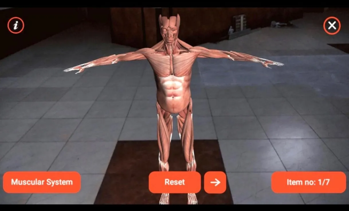 AR Human Organs