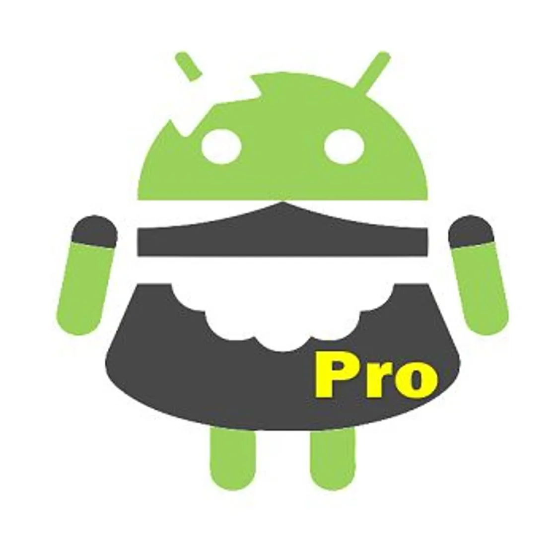 SD maid PRO