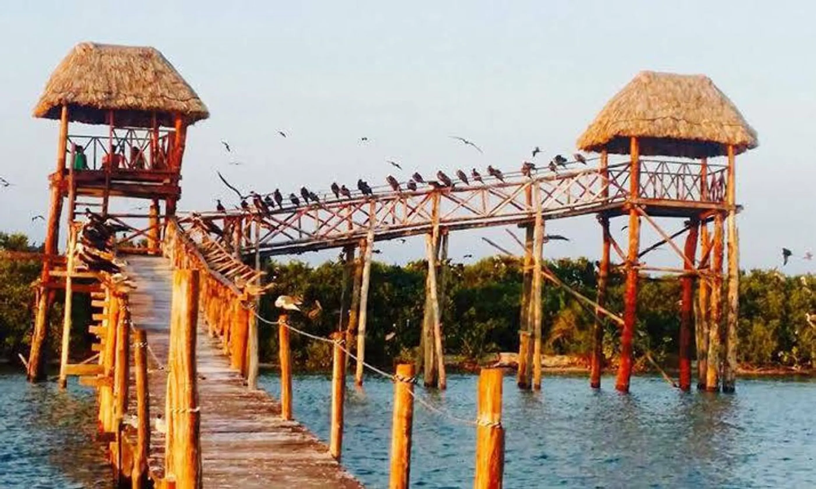 Isla Pajaros