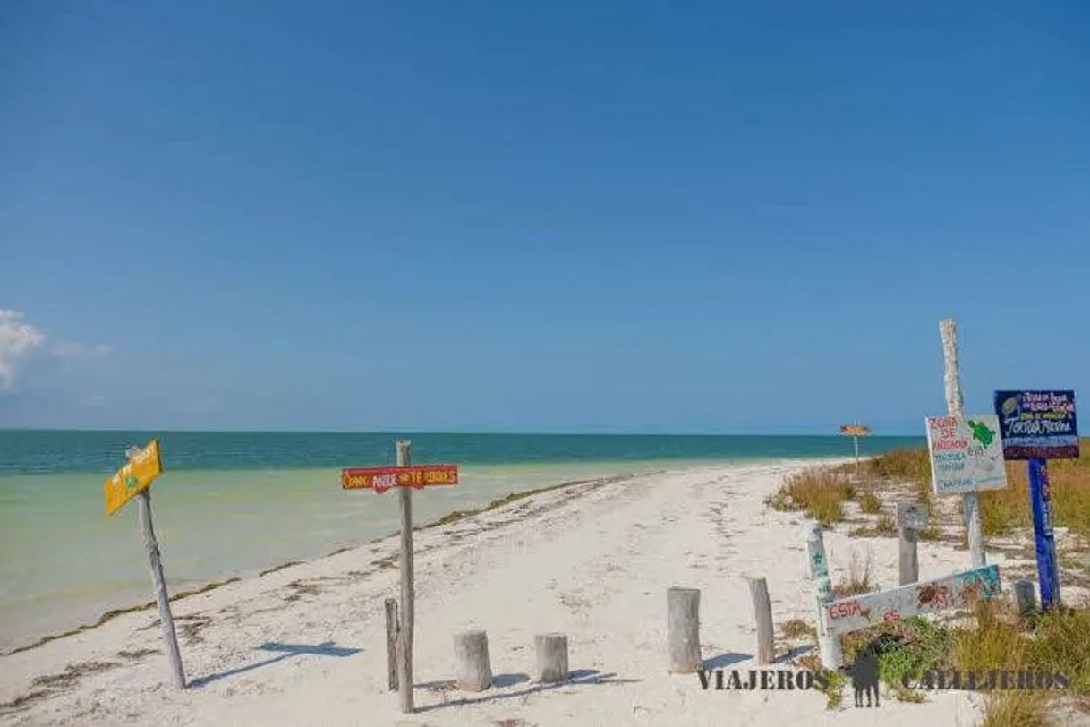 Punta Cocos