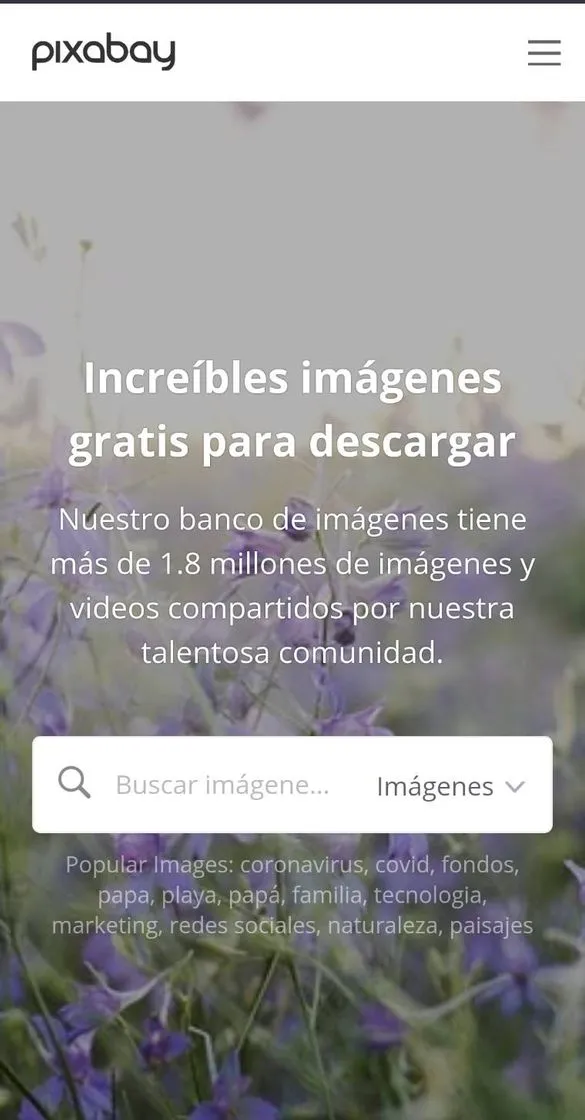 Una app que te brinda miles de imágenes