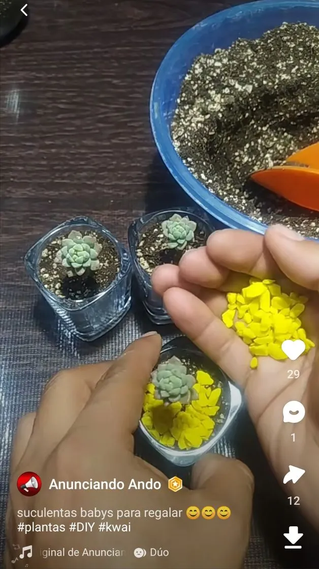 App de videos