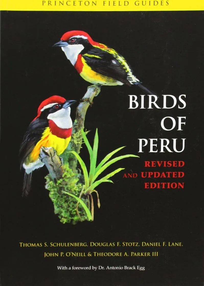 Birds of Perú