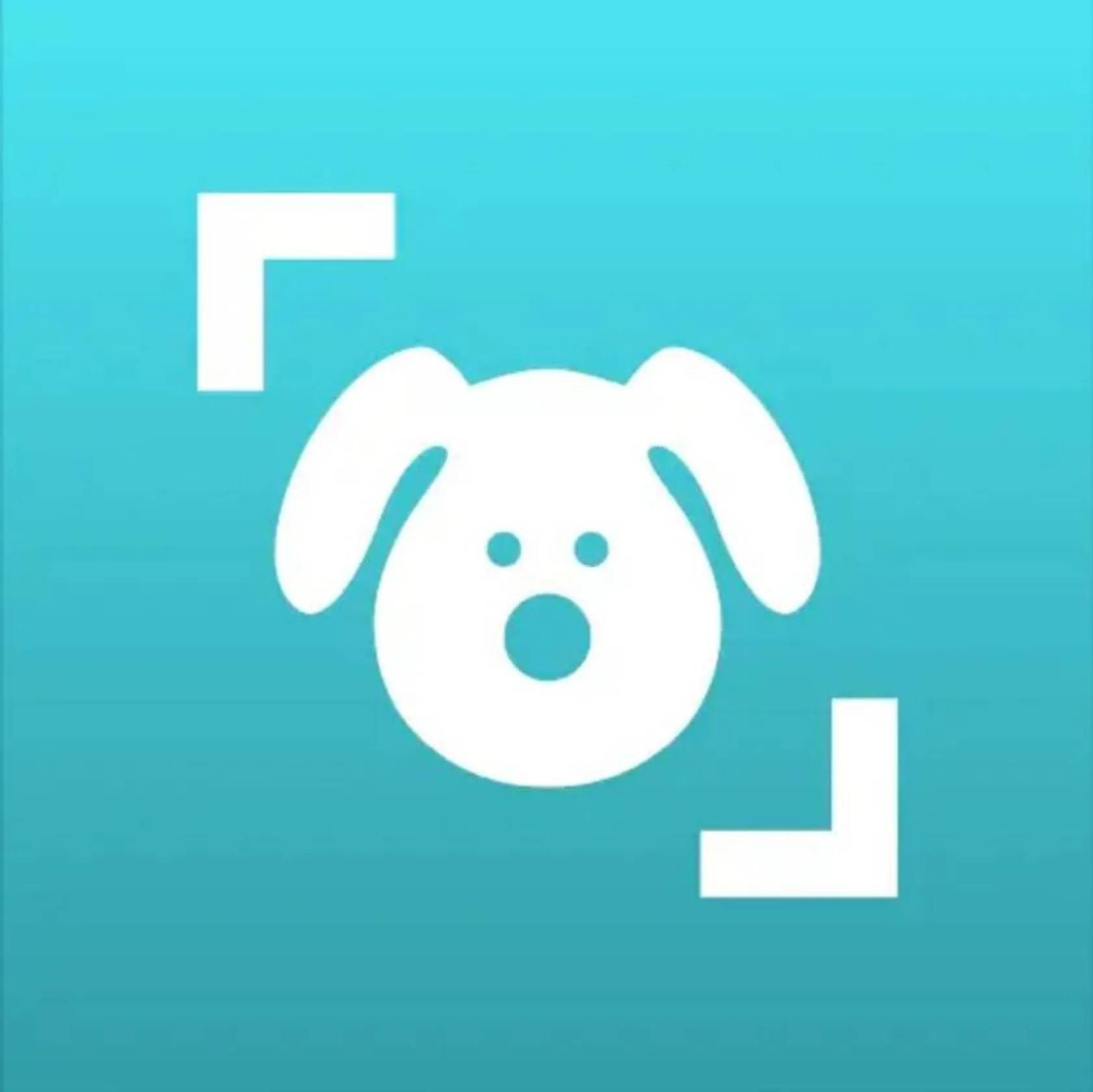Dog Scanner – Dog Breed Identification