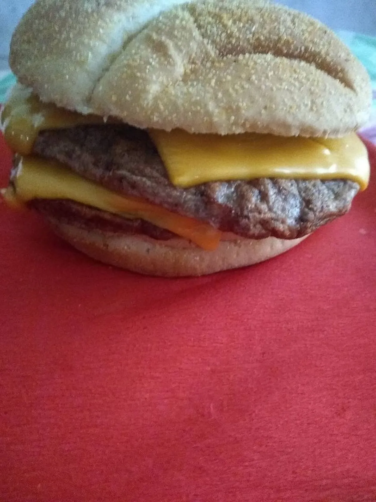 Burgers' Zoo