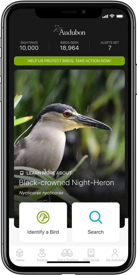 Audubon Bird Guide