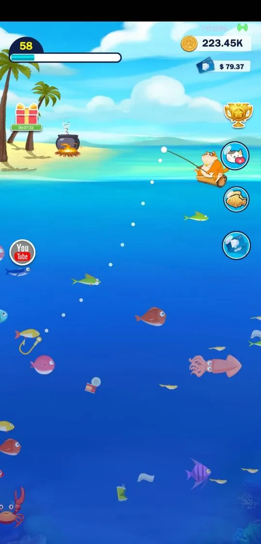 Fish For Cat