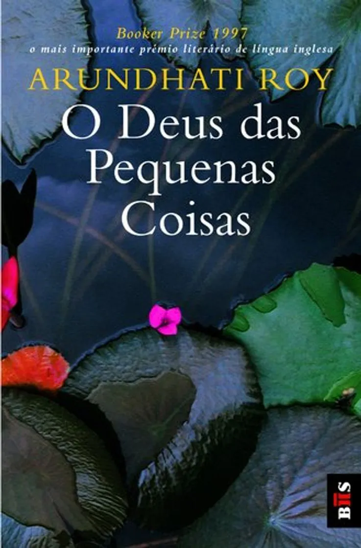 O Deus Das Pequenas Coisas