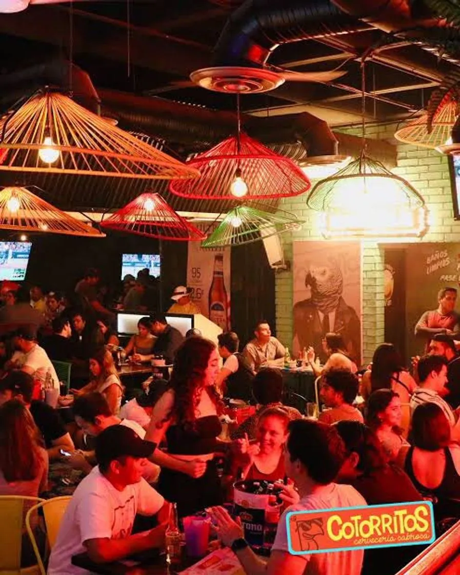Cotorritos Xalapa