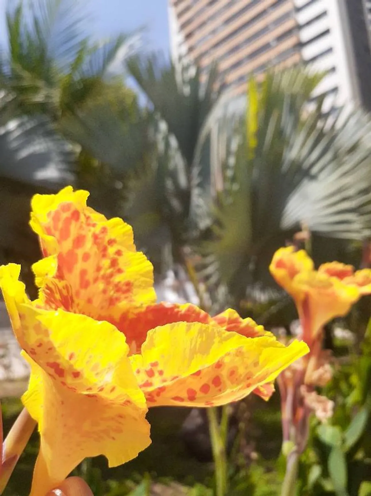 Parque Bisão