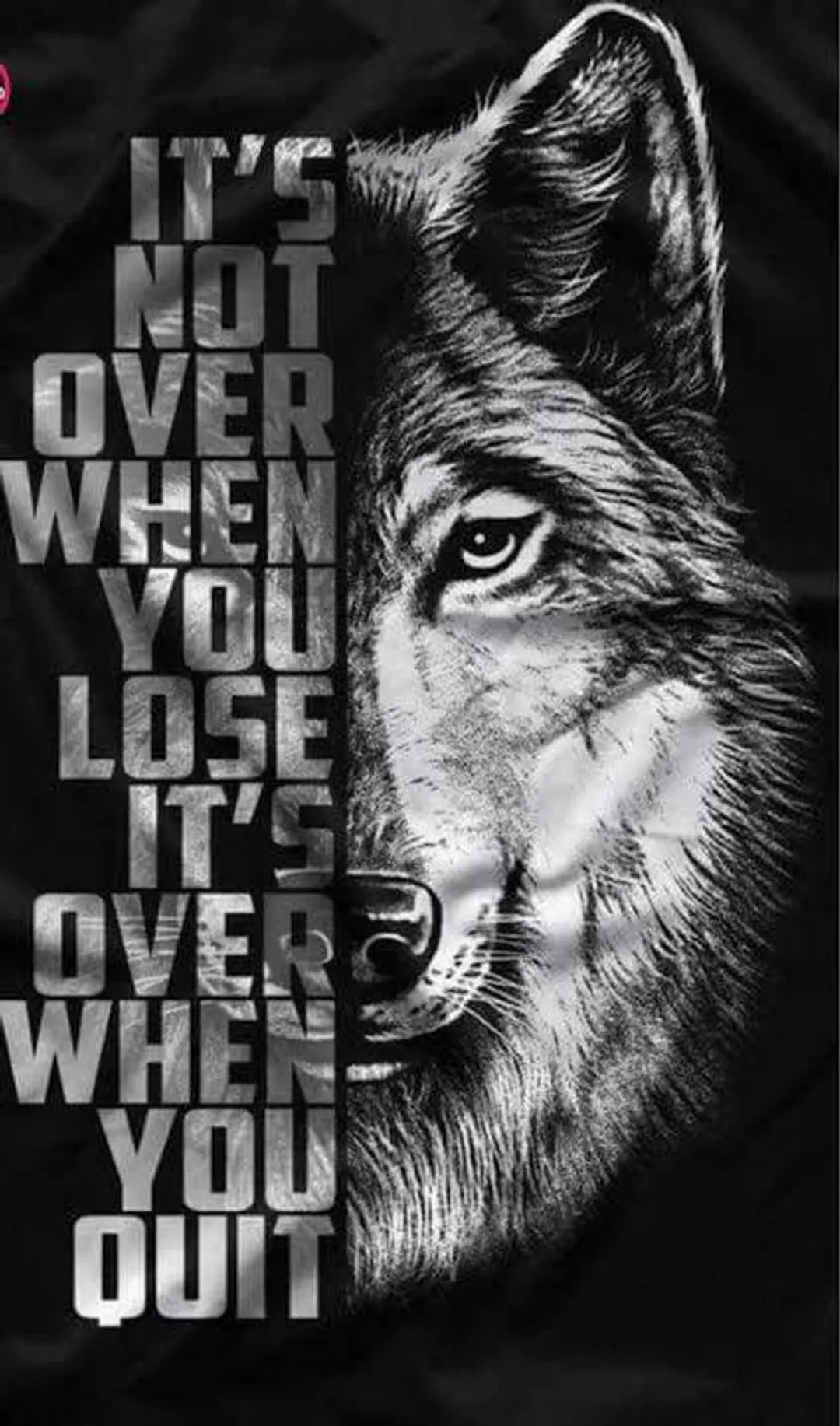 The Wolf
