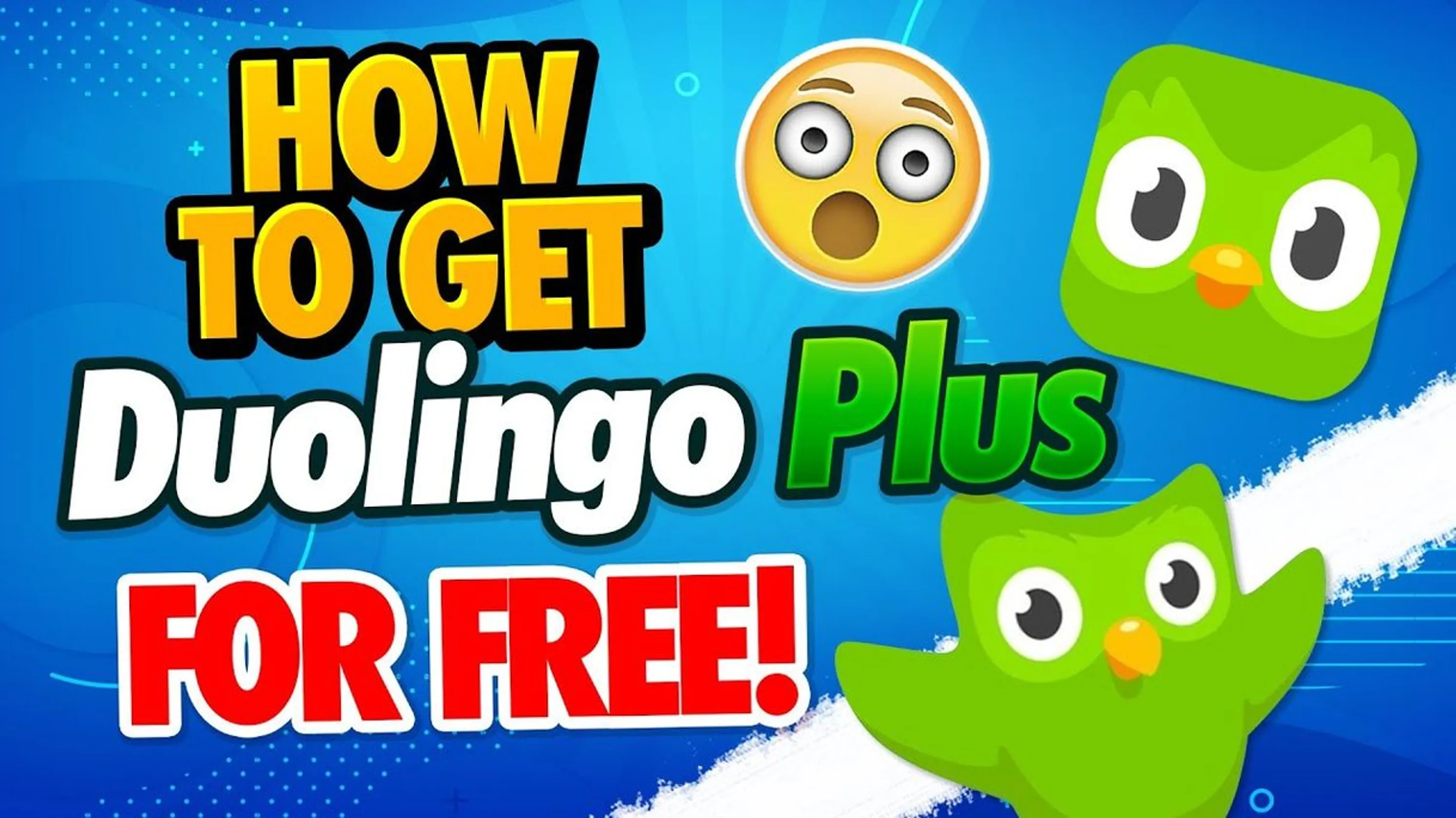 Duolingo plus