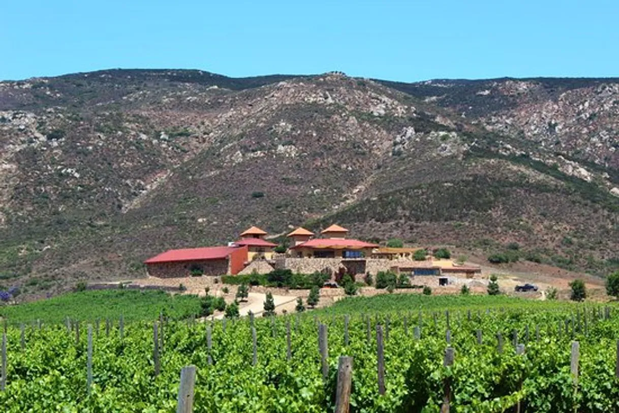 Las Nubes, Bodegas y Viñedos