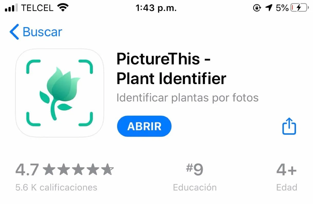 App para identificar plantas