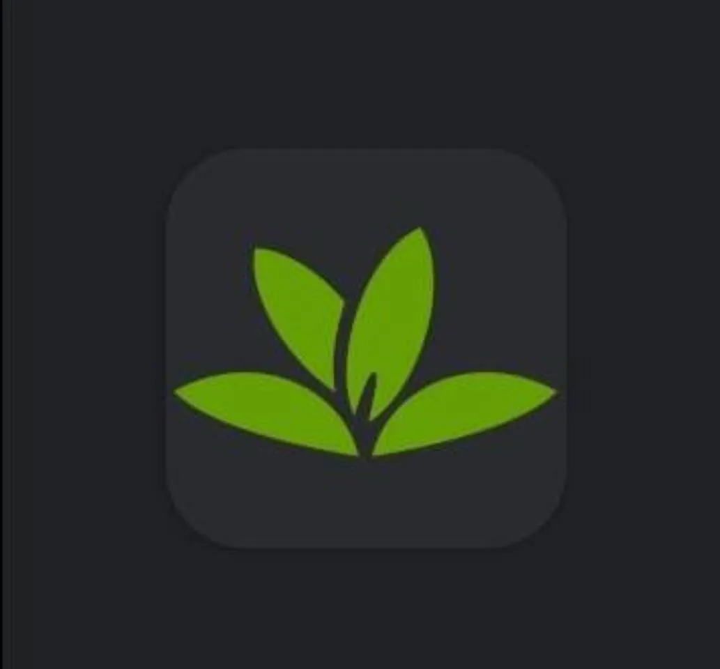 App para Identificar plantas/flores.