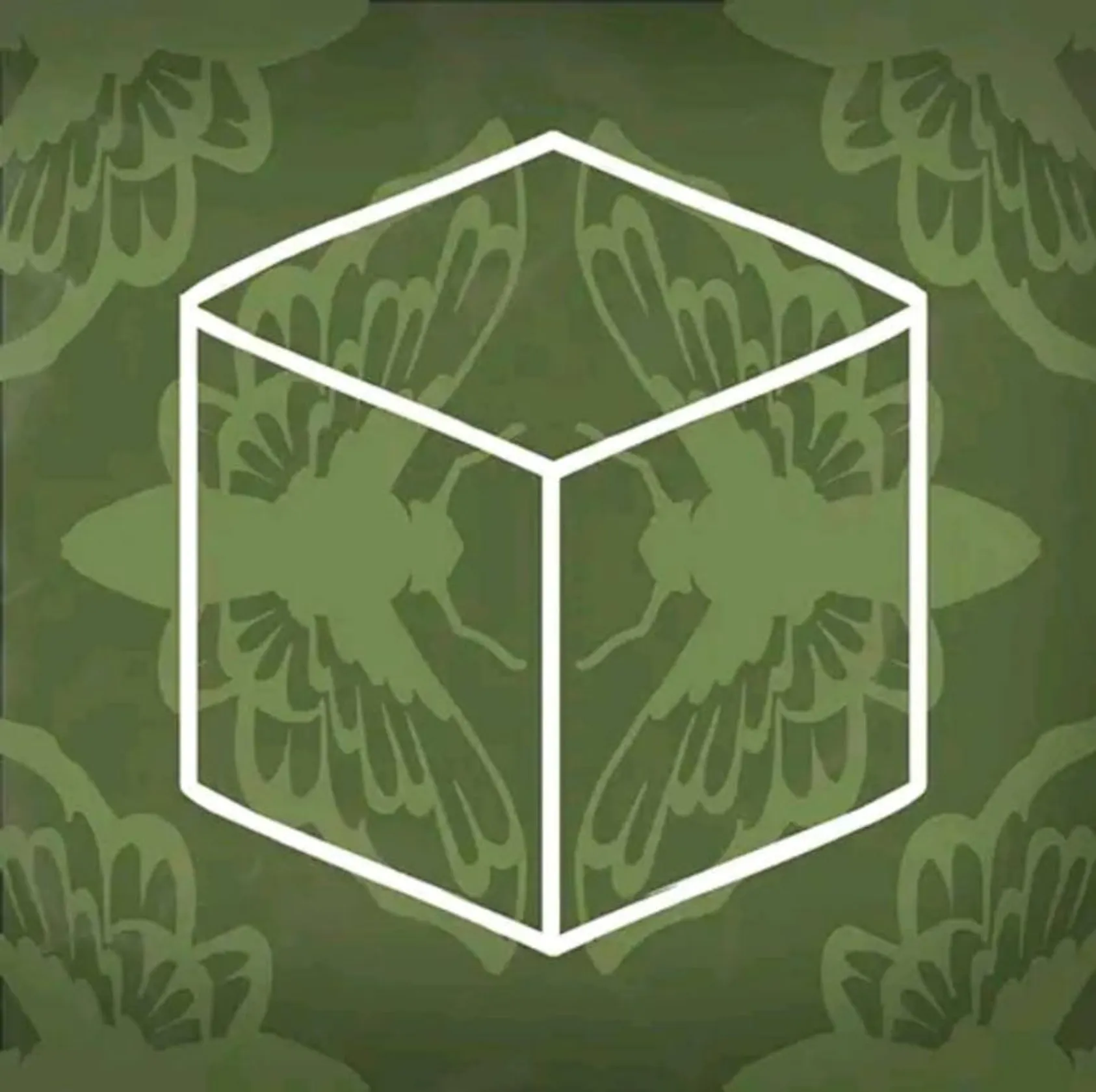 Cube Scape: paradox