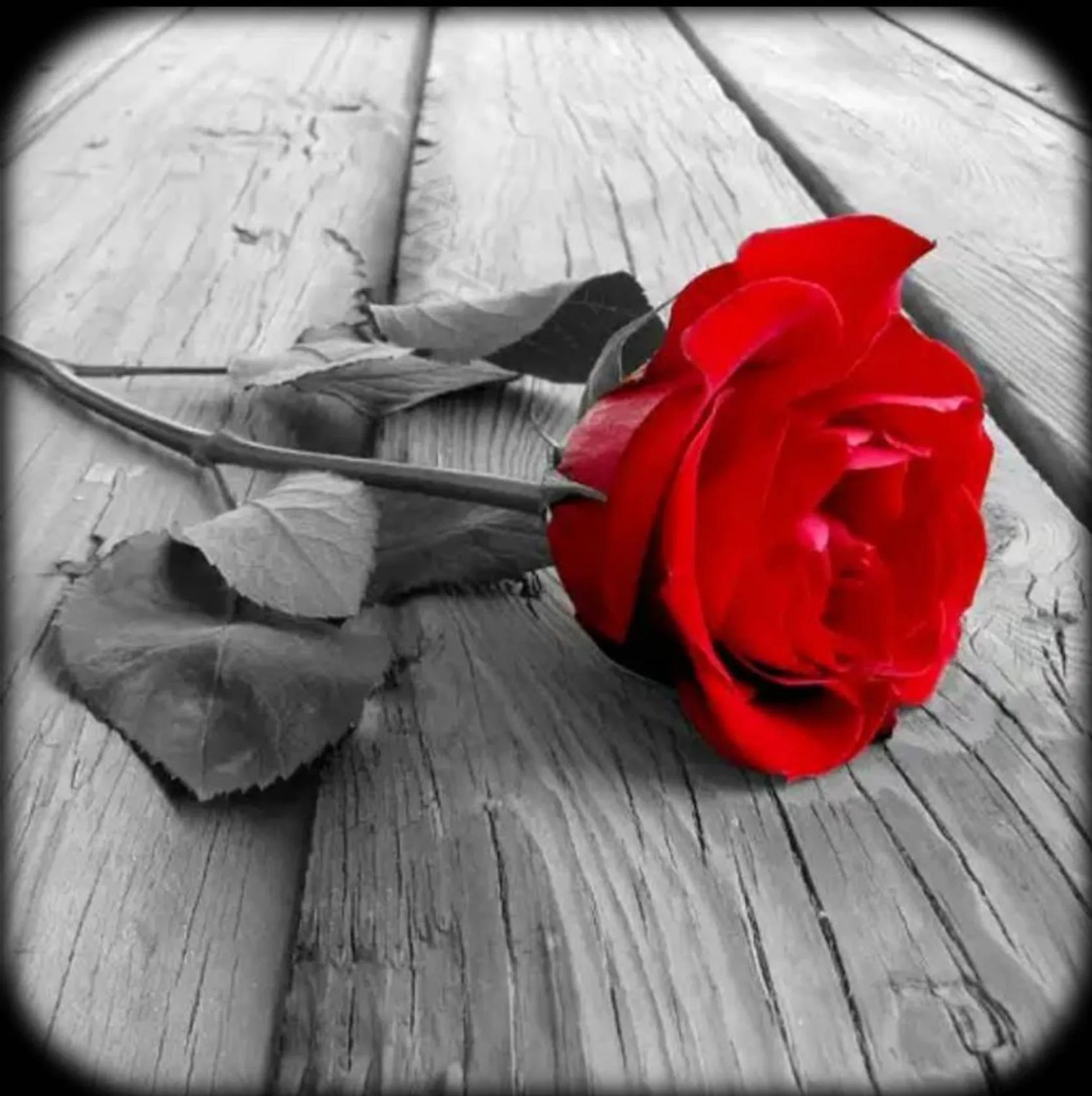 Photo Art