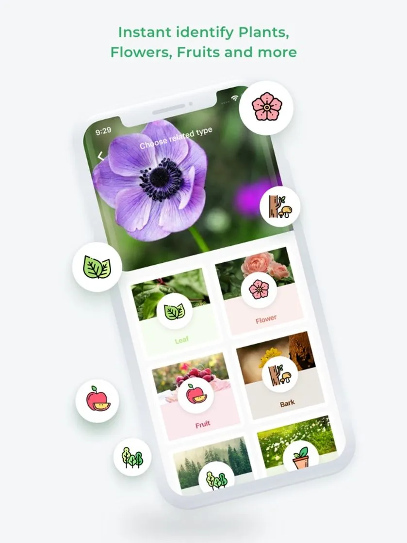 Plant Identification ++