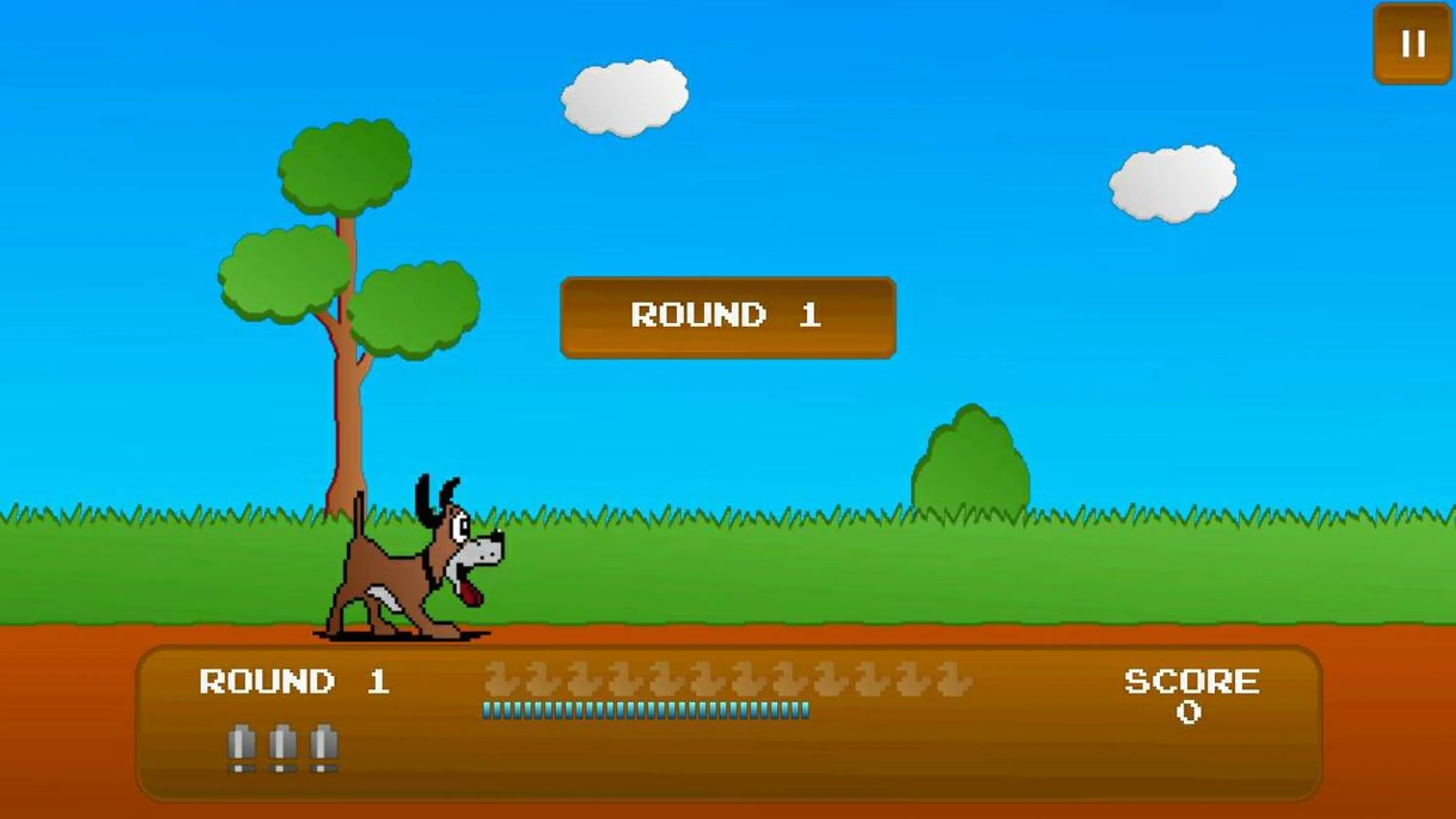 Duck Shoot!