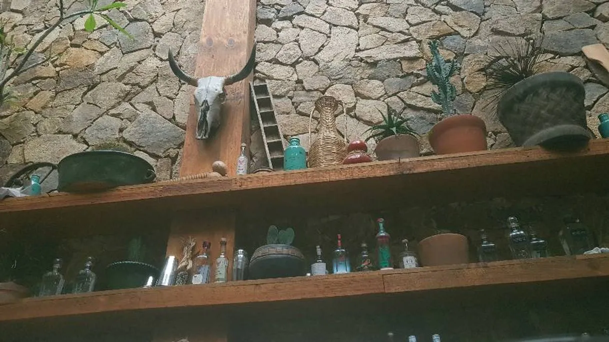 Avenida Oaxaca