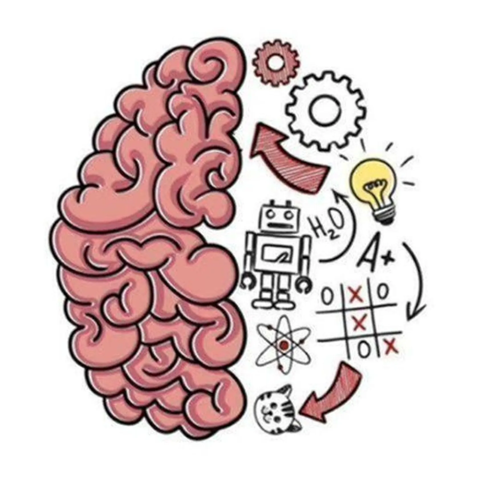 Brain test