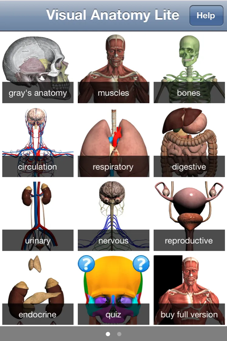 Visual Anatomy Lite