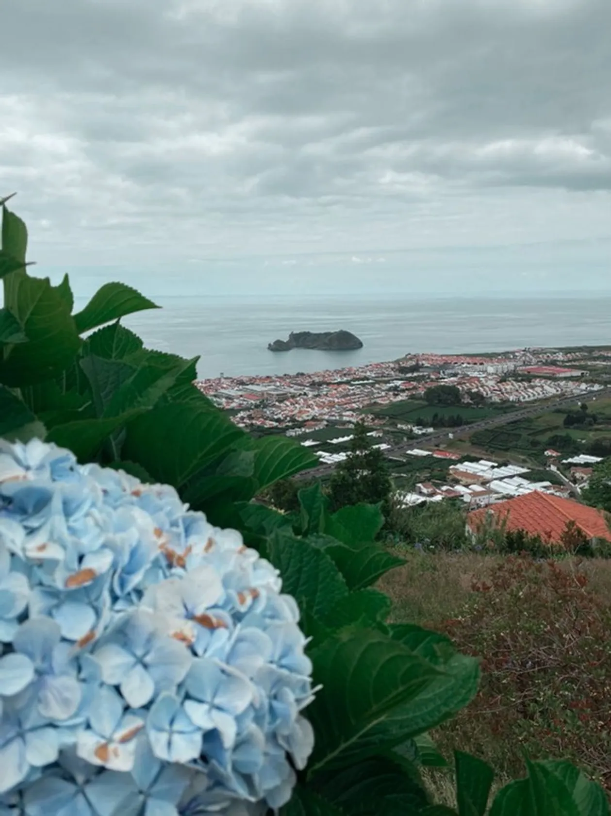 Mirador De Nuestra Señora De Paz