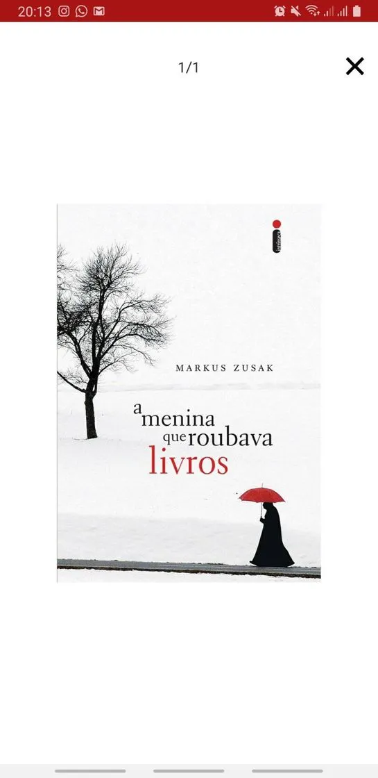 A Menina Que Roubava Livros