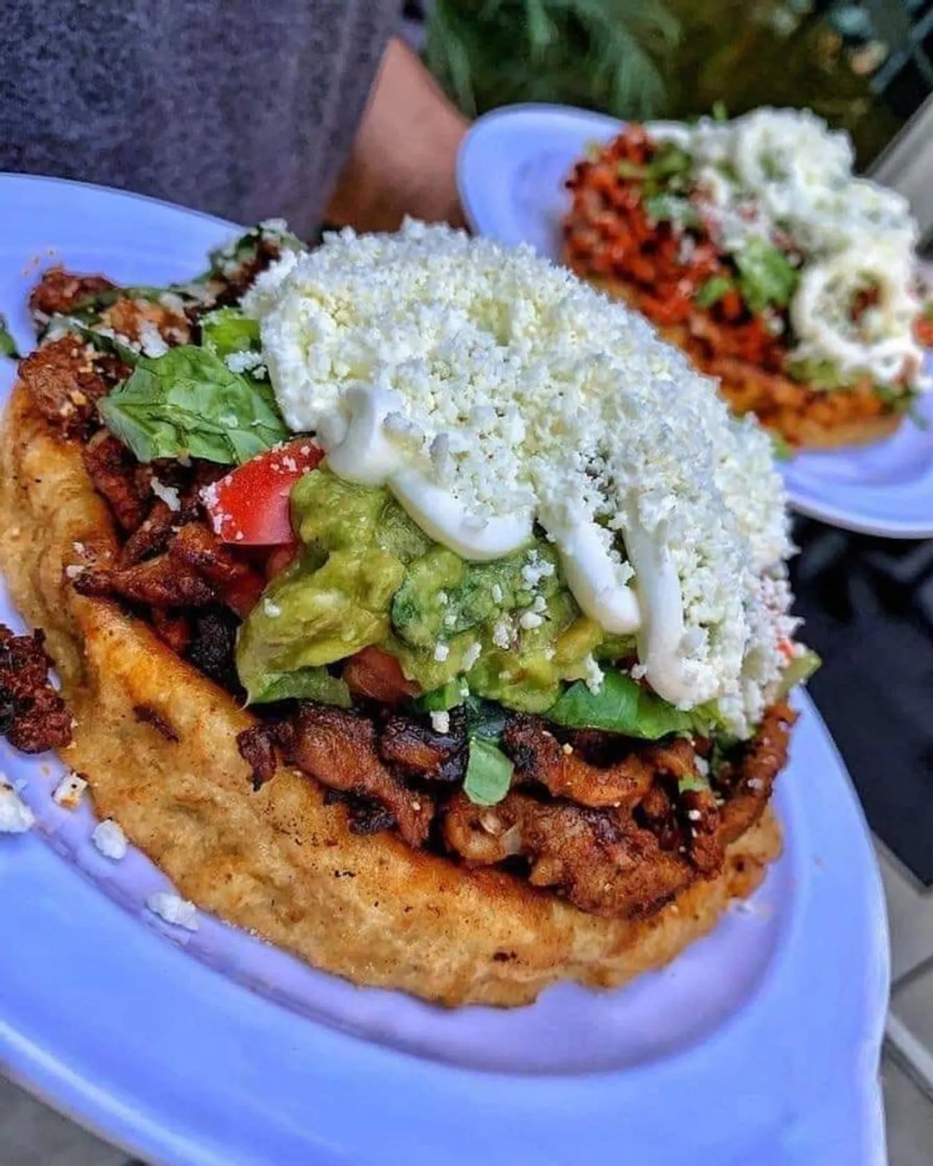 TACO TACO